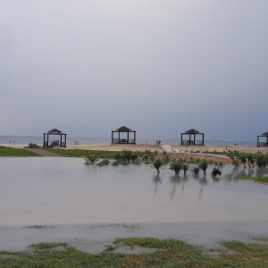 دعوت به همکاری نیروی خانم
