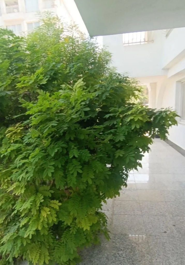 رهن و اجاره دوخوابه 85متری