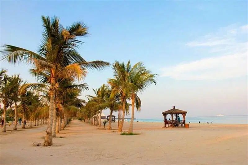 فروش آپارتمان ۶۵ متری نوبنیاد1
