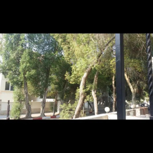اجاره ویلائی دربست حیاطدار