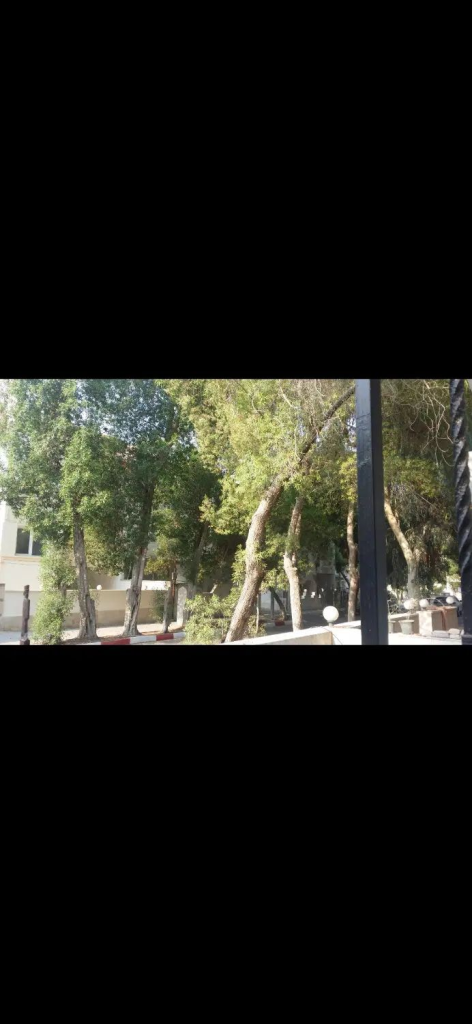 اجاره ویلائی دربست حیاطدار