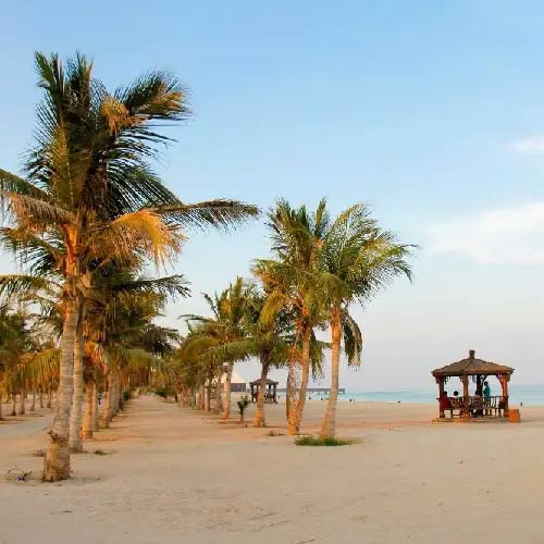 ساحل و اسکله دامون کیش