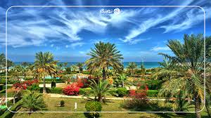 استخدام عکاس در کیش