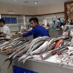 بازار ماهی کیش