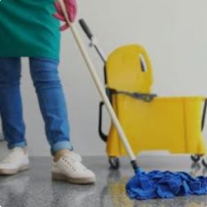 نیروی خدماتی خانم