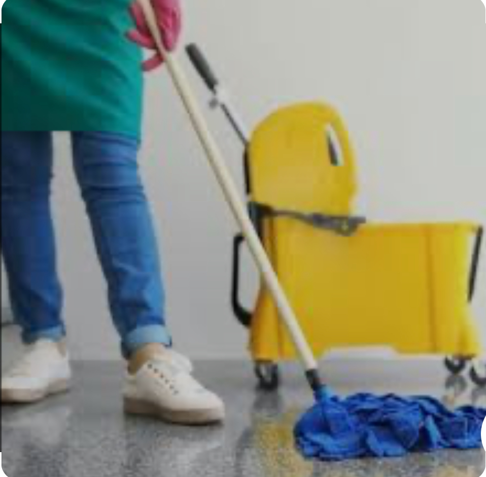 نیروی خدماتی خانم