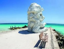 ساحل نیلوفر کیش