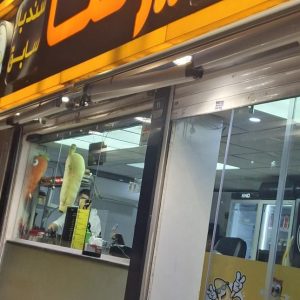 آبمیوه بستنی فروشی علیرضا