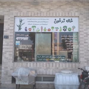 (آشپزخانه) سوپر سبزیجات خاله ترخون