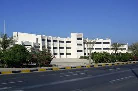 سوخاری و پیتزا جزیره خوشمزه