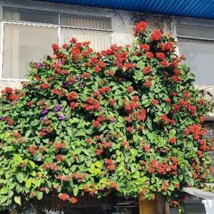 فروش آپارتمان ۱۰۸ متری دوخوابه در فاز ۲ صدف